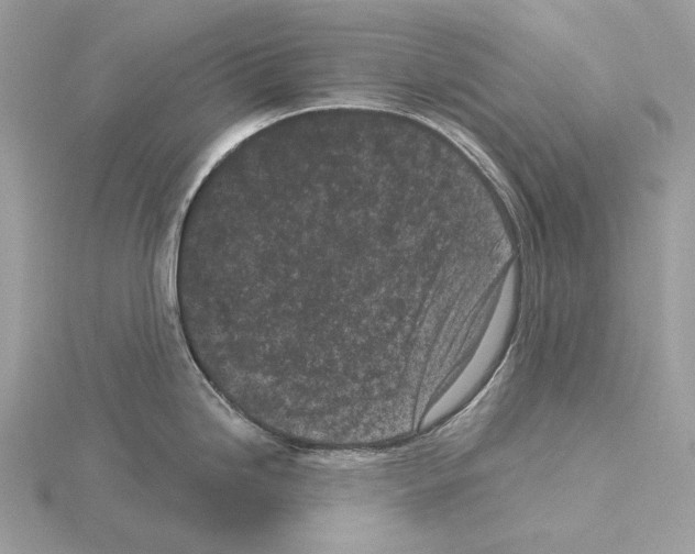 X0000115051246200912071123