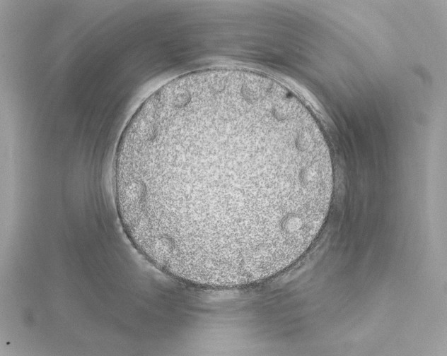 X0000115051247200912071123