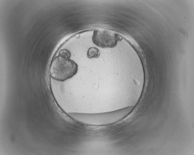 X0000115051248200912071123