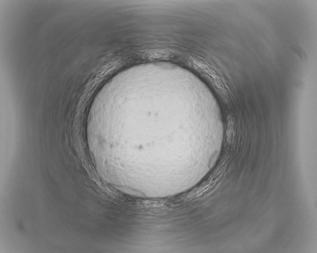 X0000115051249200912071123