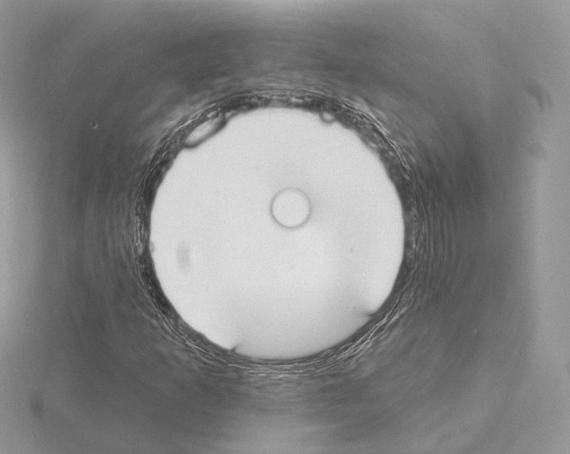 X0000115051253200912071123