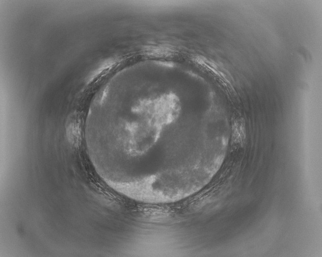 X0000115051254200912071123