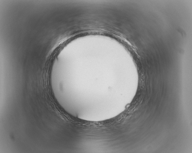 X0000115051255200912071123