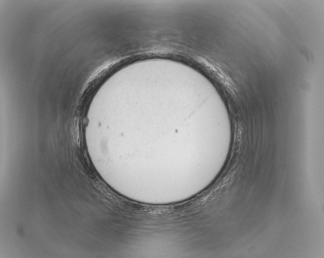 X0000115051262200912071123