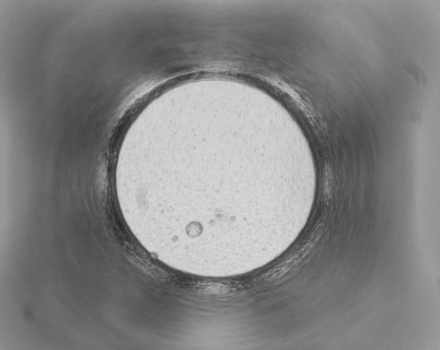 X0000115051263200912071123