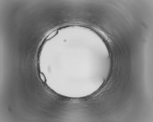 X0000115051264200912071123