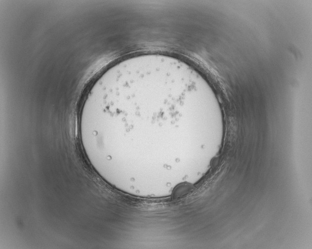 X0000115051269200912071123