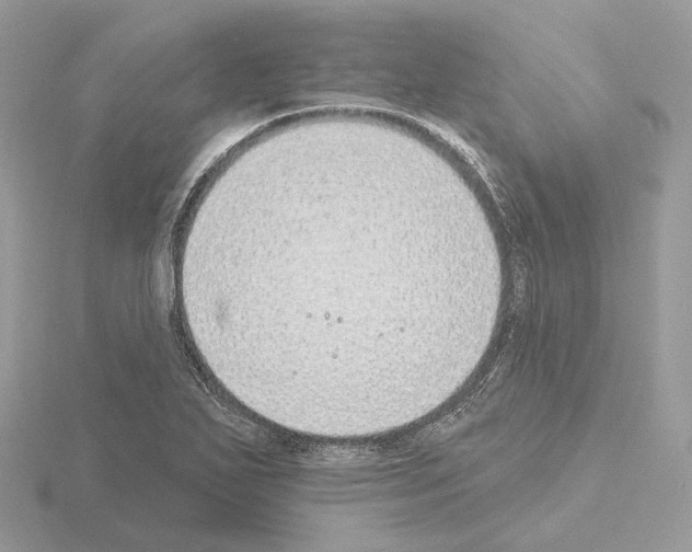 X0000115051271200912071123