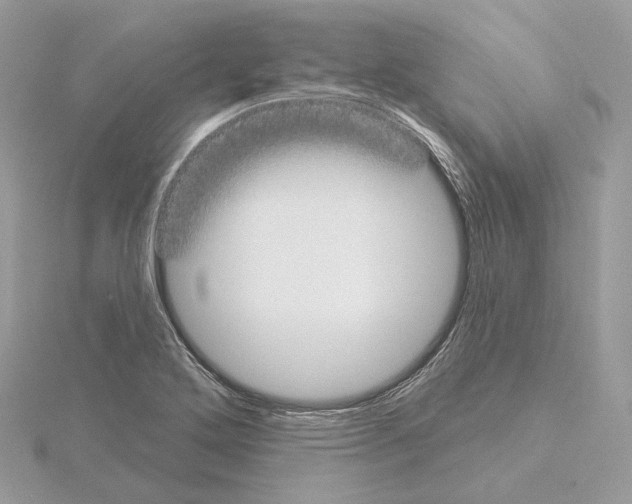 X0000115051272200912071123