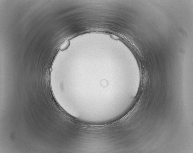 X0000115051273200912071123