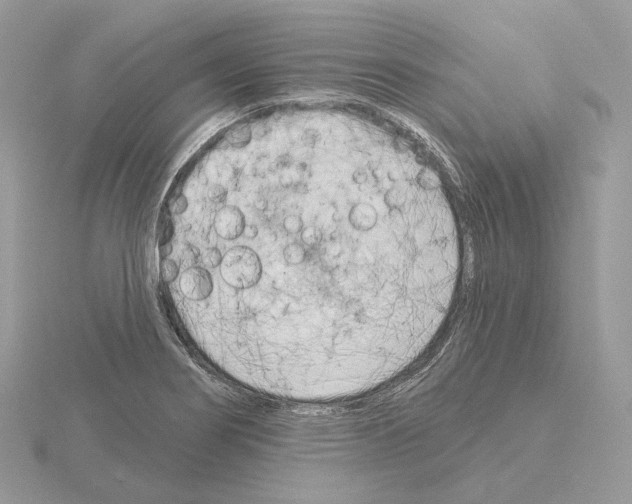 X0000115051274200912071122