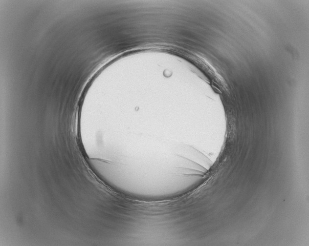 X0000115051276200912071122