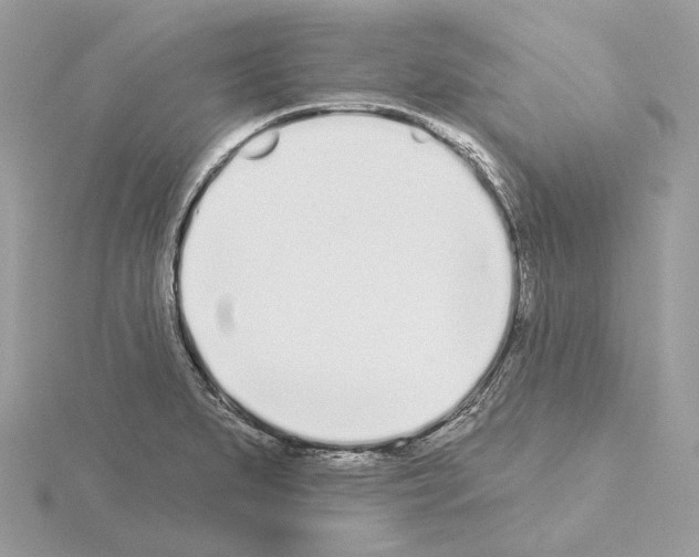 X0000115051279200912071122