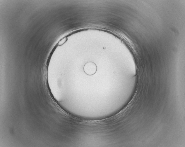 X0000115051280200912071122