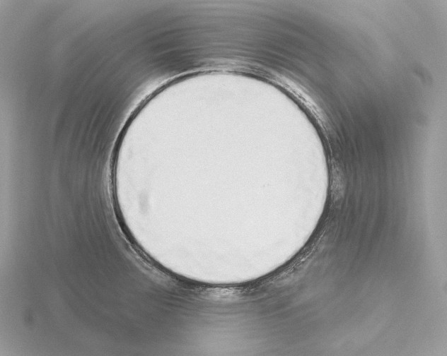 X0000115051283200912071122