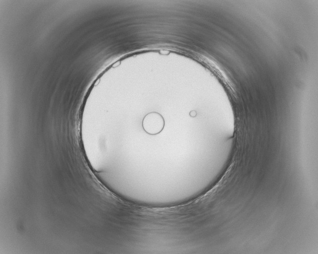 X0000115051284200912071122