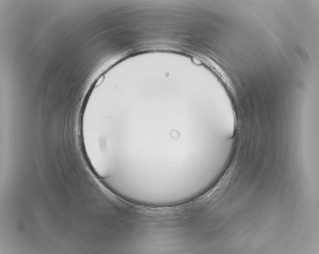 X0000115051285200912071122