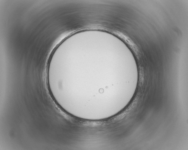 X0000115051286200912071122