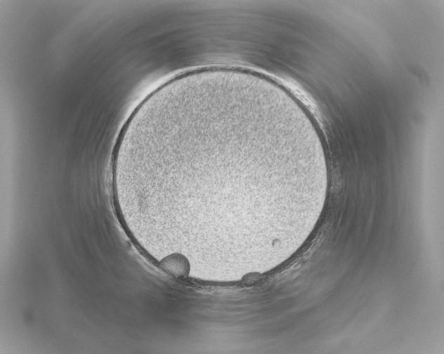 X0000115051287200912071122