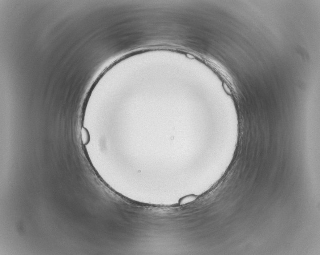 X0000115051288200912071122