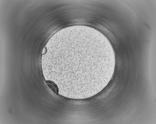 X0000115051289200912071122