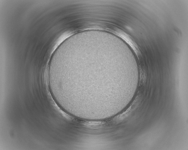 X0000115051290200912071122