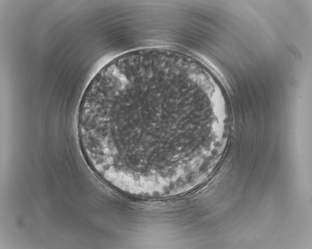 X0000115051291200912071122