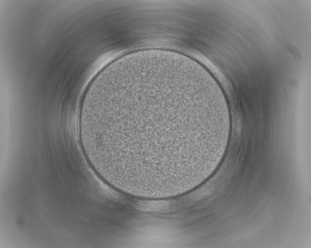 X0000115051294200912071122