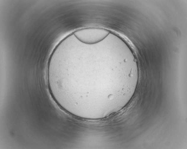 X0000115051295200912071122