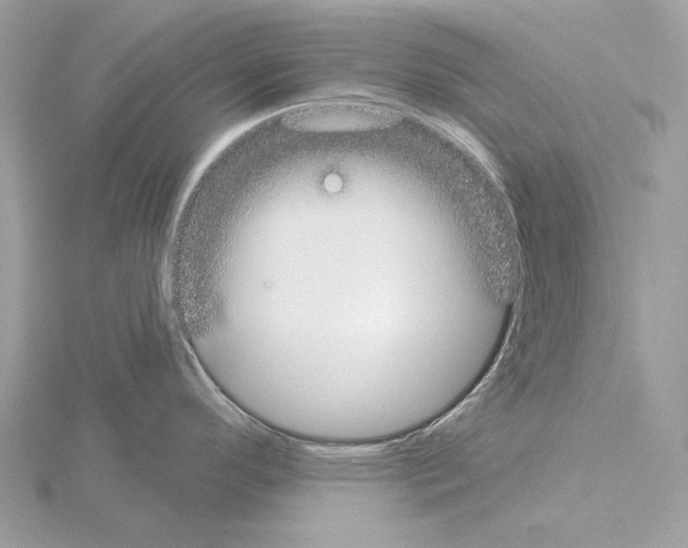 X0000115051296200912071122