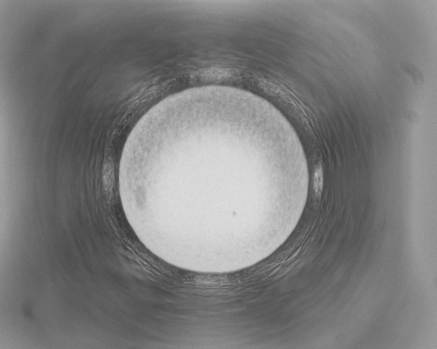 X0000115051299200912071122