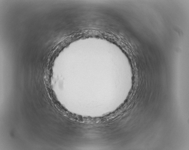 X0000115051301200912071122