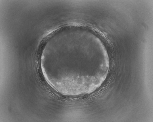 X0000115051303200912071122