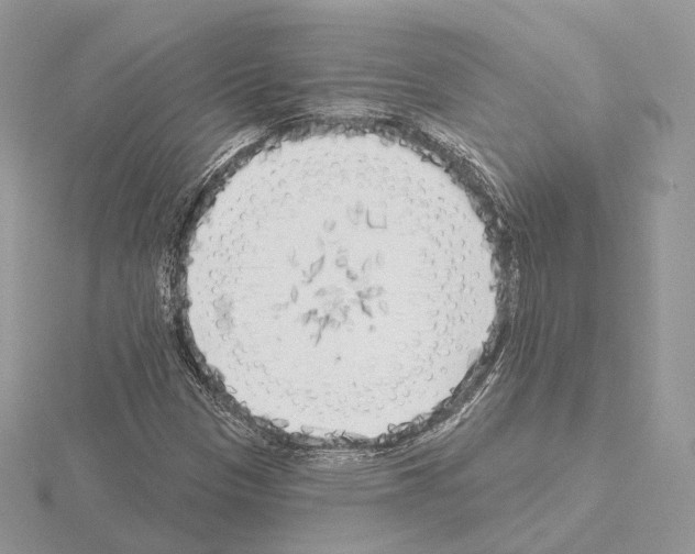 X0000115051305200912071122