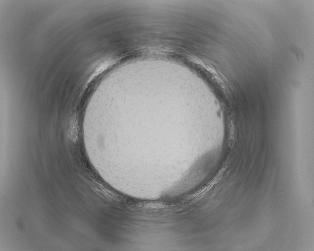 X0000115051306200912071122