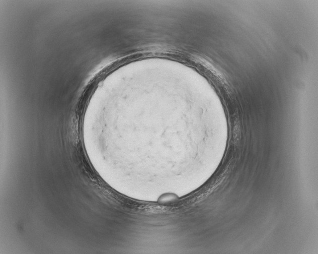 X0000115051310200912071122