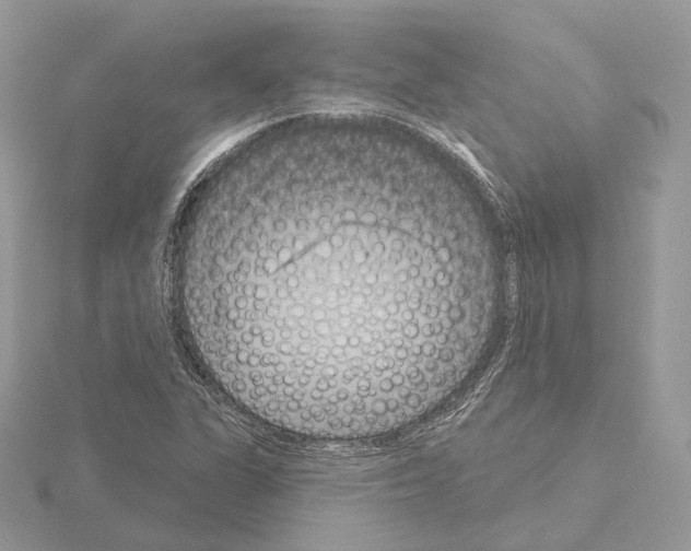 X0000115051311200912071122