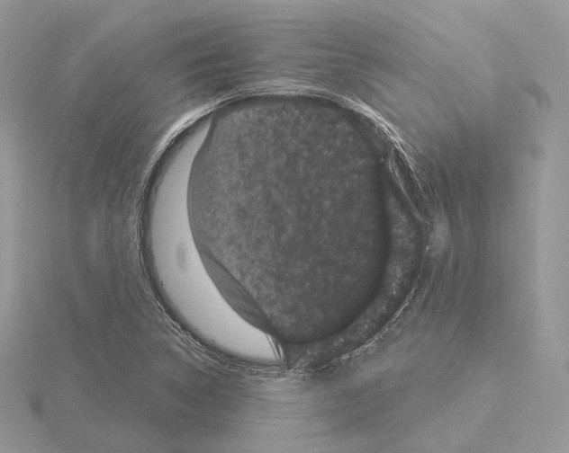 X0000115051314200912071122