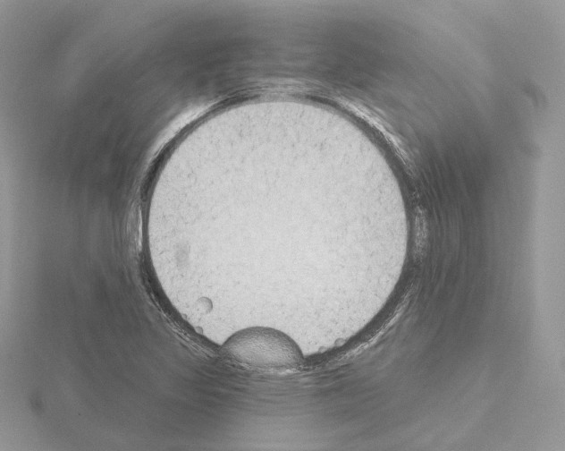 X0000115051317200912071122