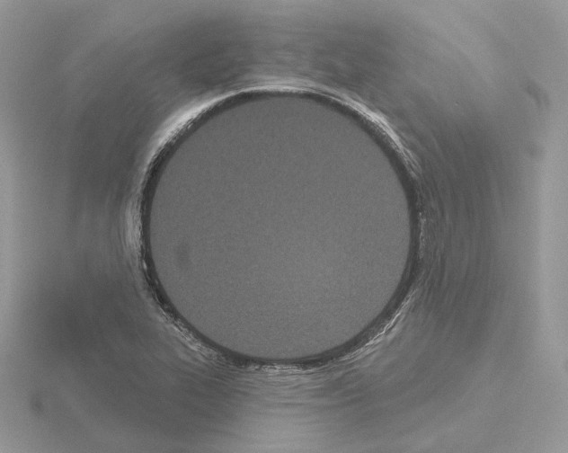 X0000115051319200912071122