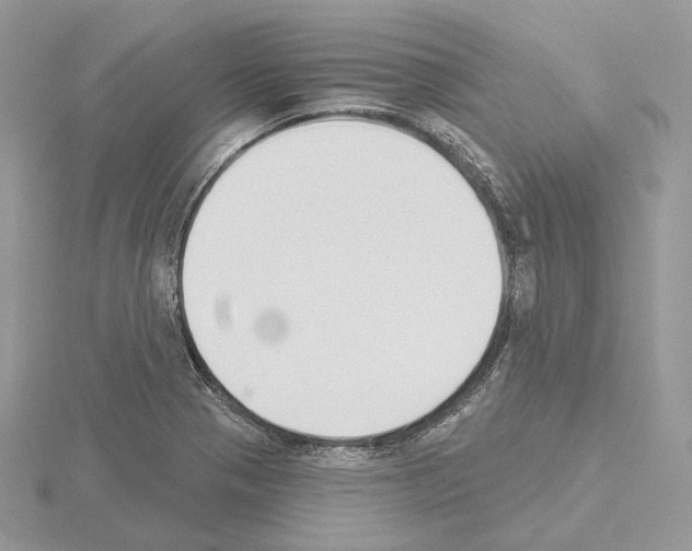 X0000115051321200912071122