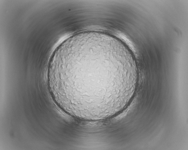 X0000115051322200912071122