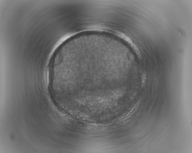 X0000115051323200912071122