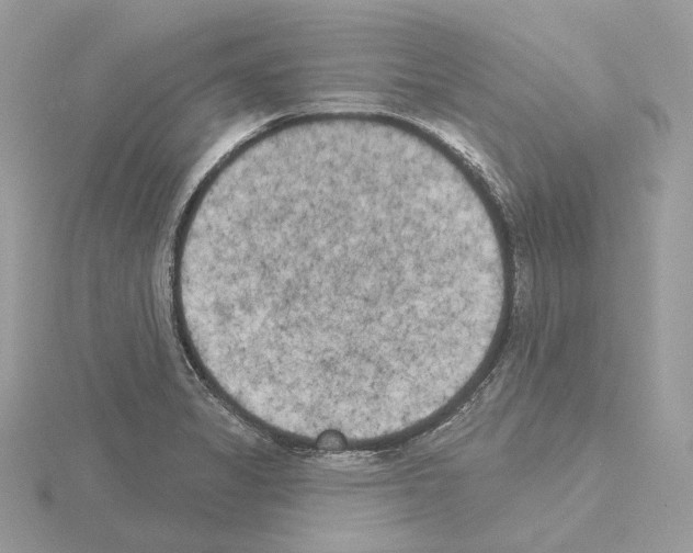 X0000115051325200912071122