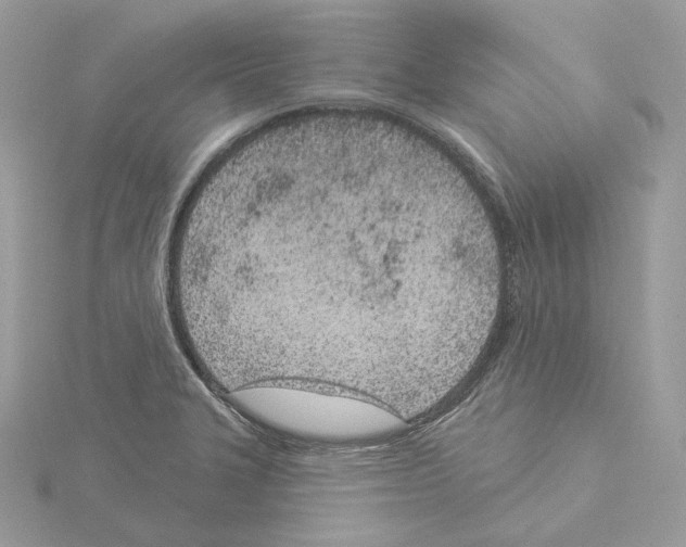 X0000115051327200912071122