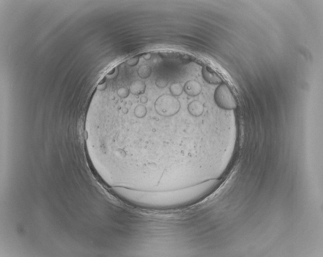 X0000115051329200912071122