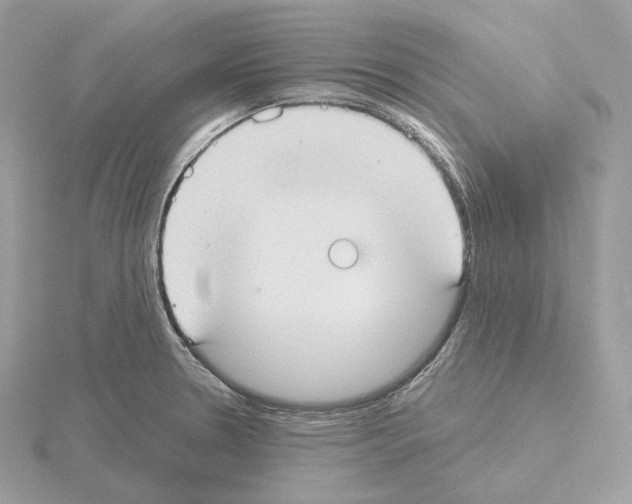 X0000115051330200912071122