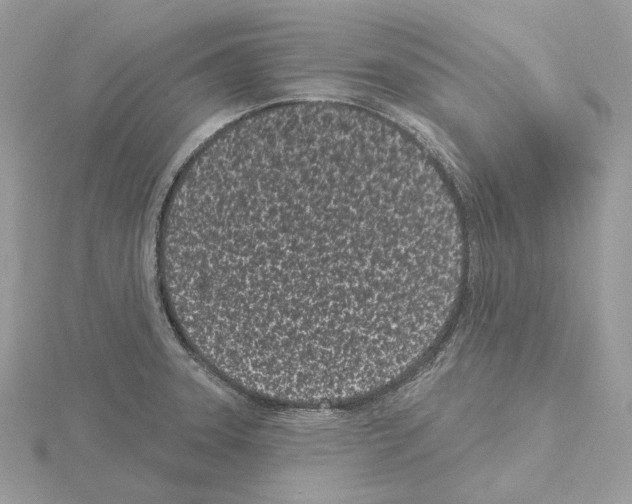 X0000115051331200912071122