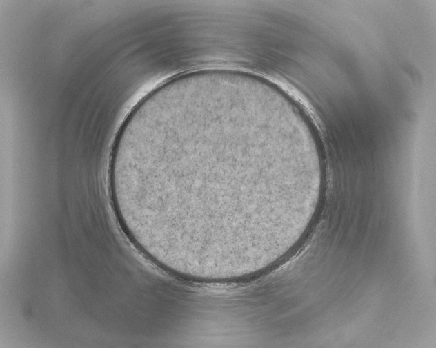 X0000115051333200912071122