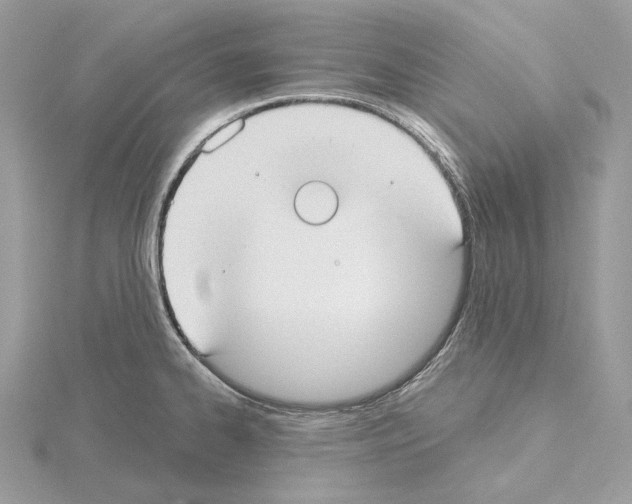 X0000115051334200912071122